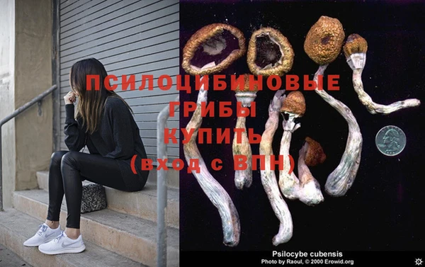 МДПВ Волоколамск