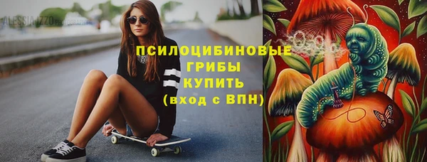 МДПВ Волоколамск