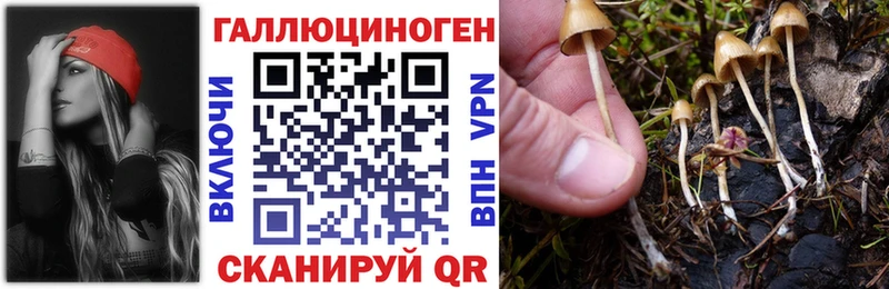 Псилоцибиновые грибы мухоморы  Купить где  Биробиджан 